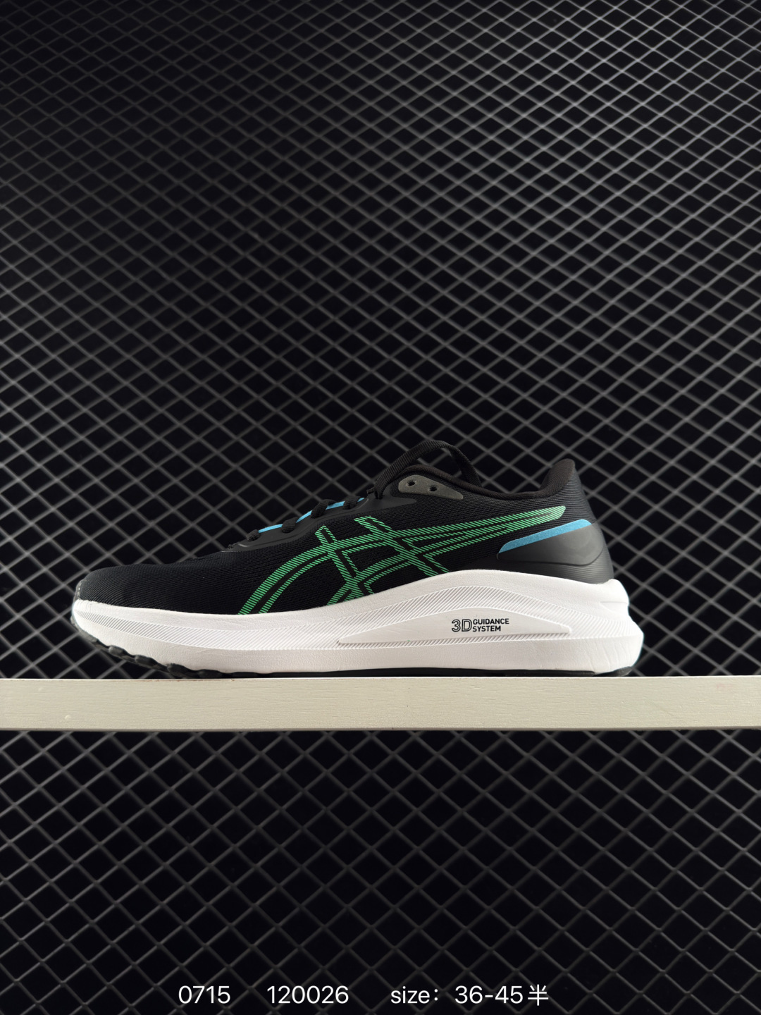 (ASICS) GT-1000 13 gt1000 13 GTX