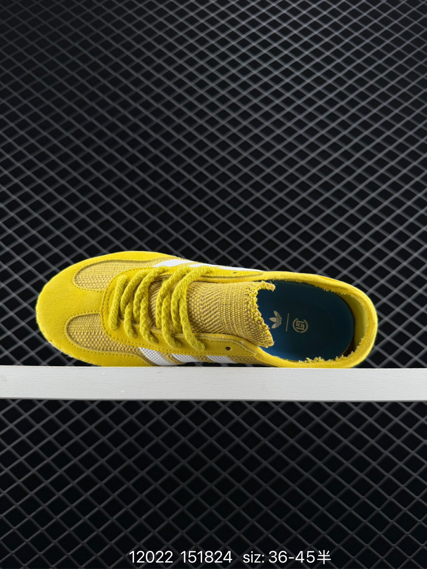 CLOT x Adidas Originals Gazelle Halo Ivory