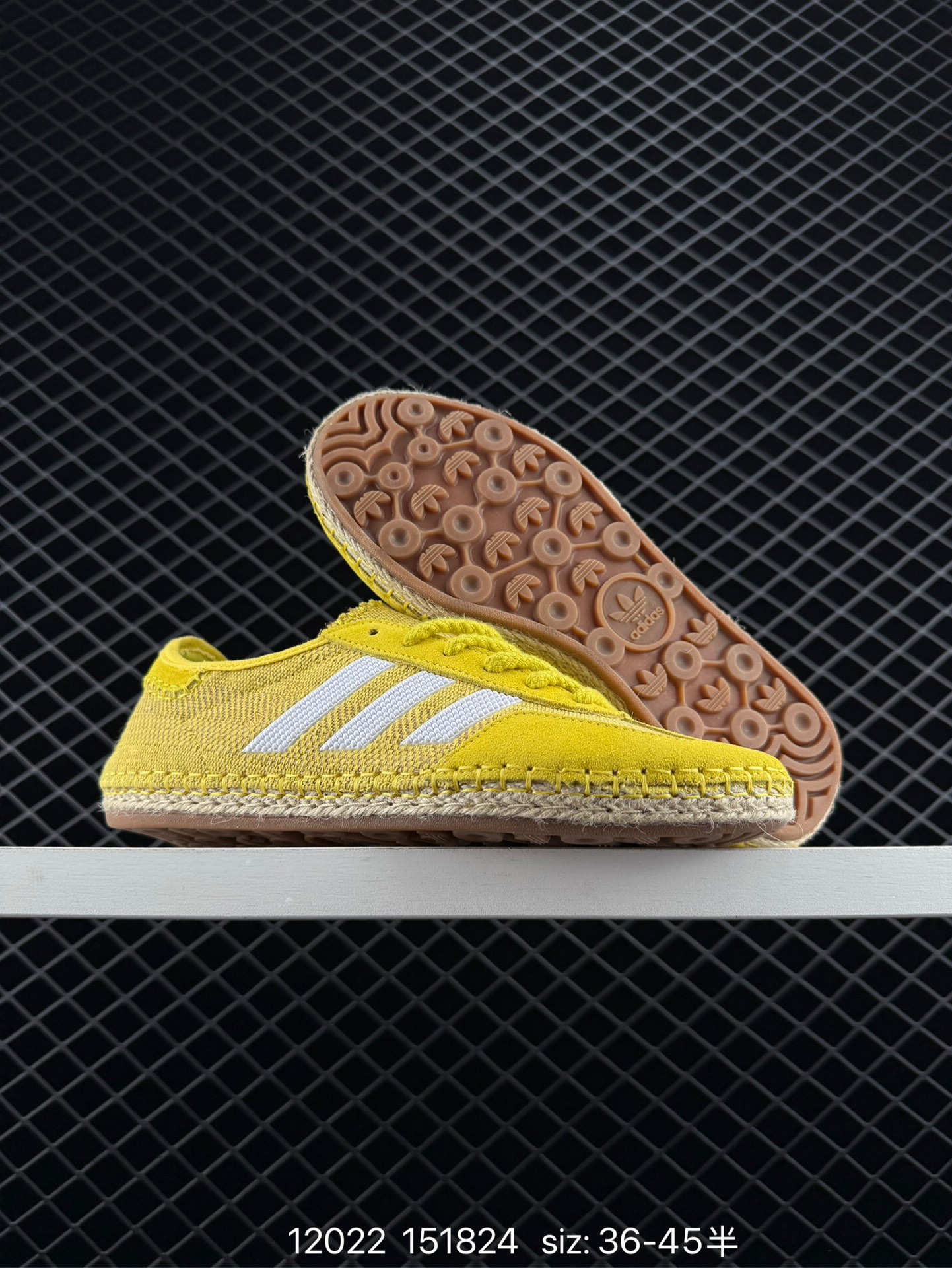 CLOT x Adidas Originals Gazelle Halo Ivory