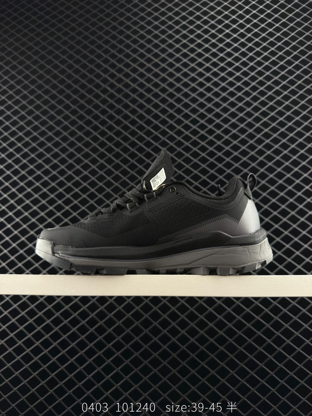 ADIDAS TERREX SKYCHASER TECH GTX