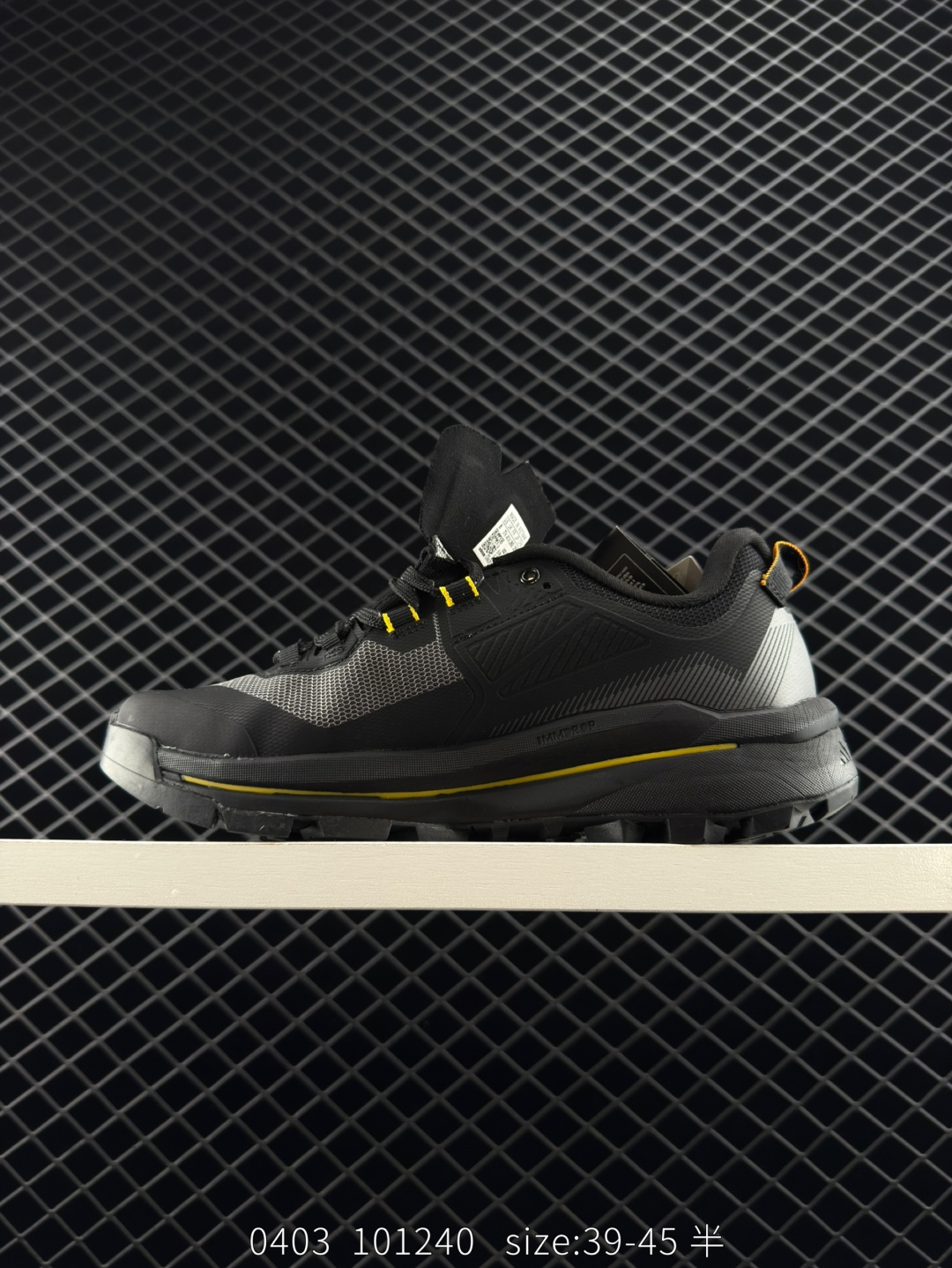 ADIDAS TERREX SKYCHASER TECH GTX