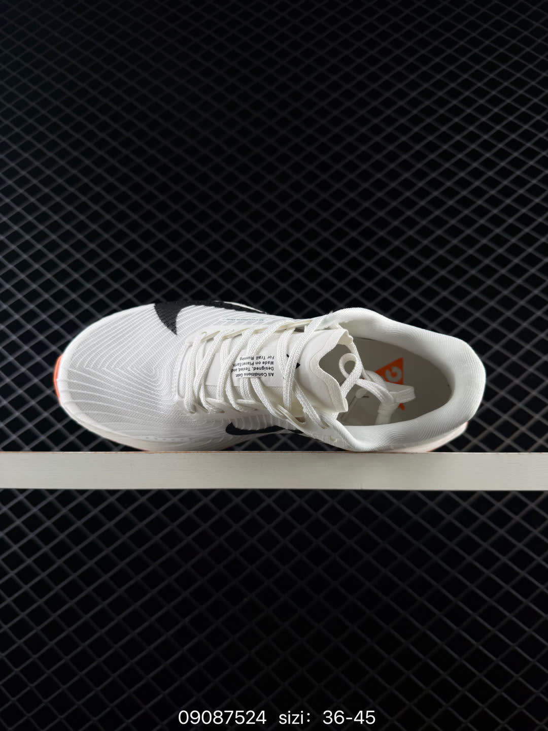 NIKE ACG Mountain Fly Low GORE-TEX