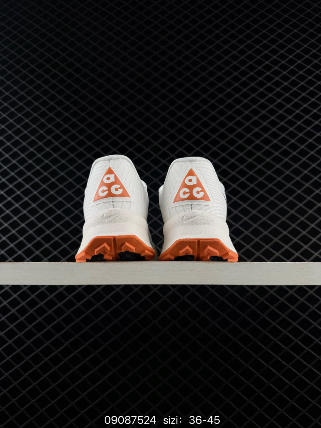 NIKE ACG Mountain Fly Low GORE-TEX