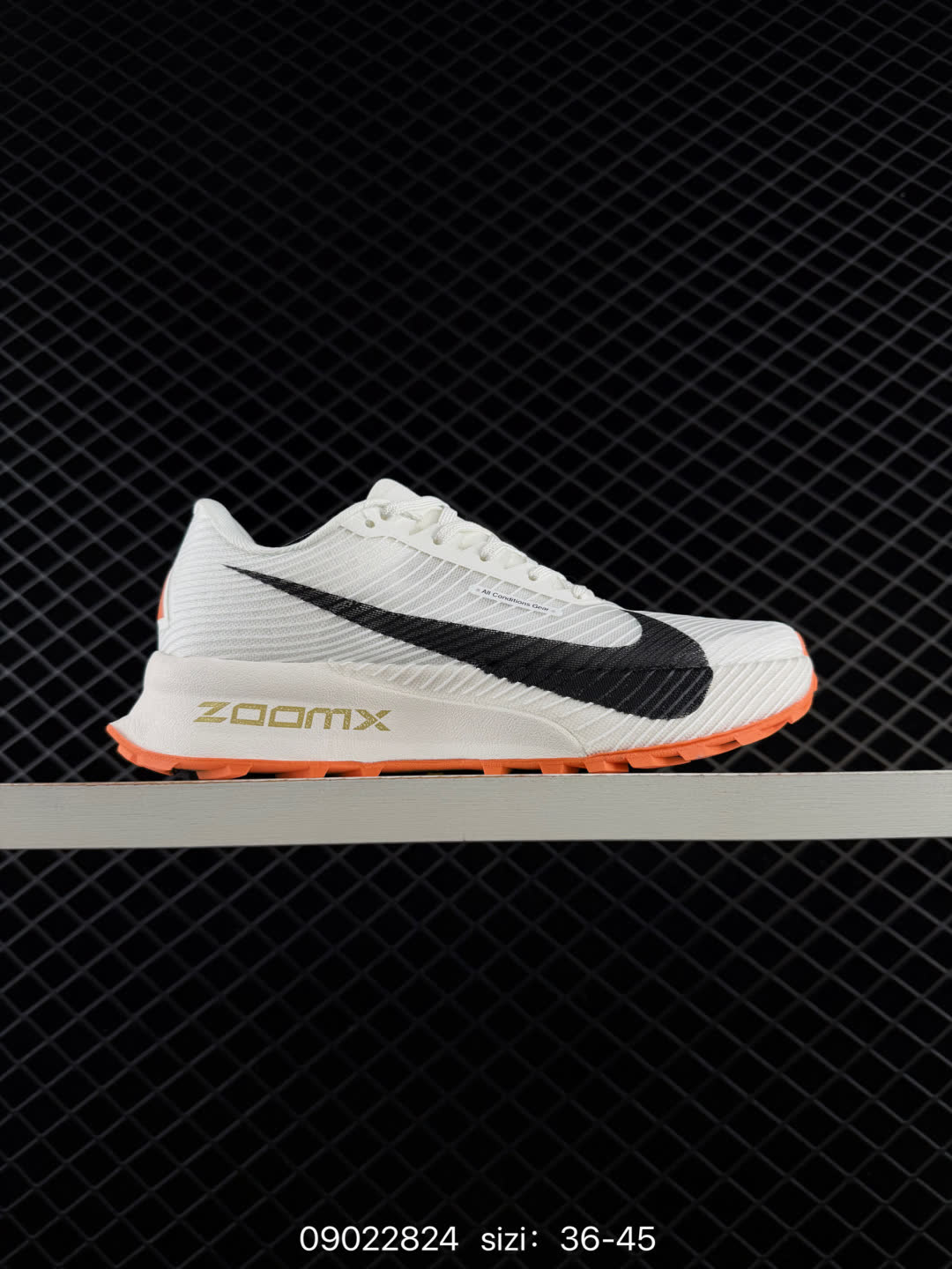 NIKE ACG Mountain Fly Low GORE-TEX