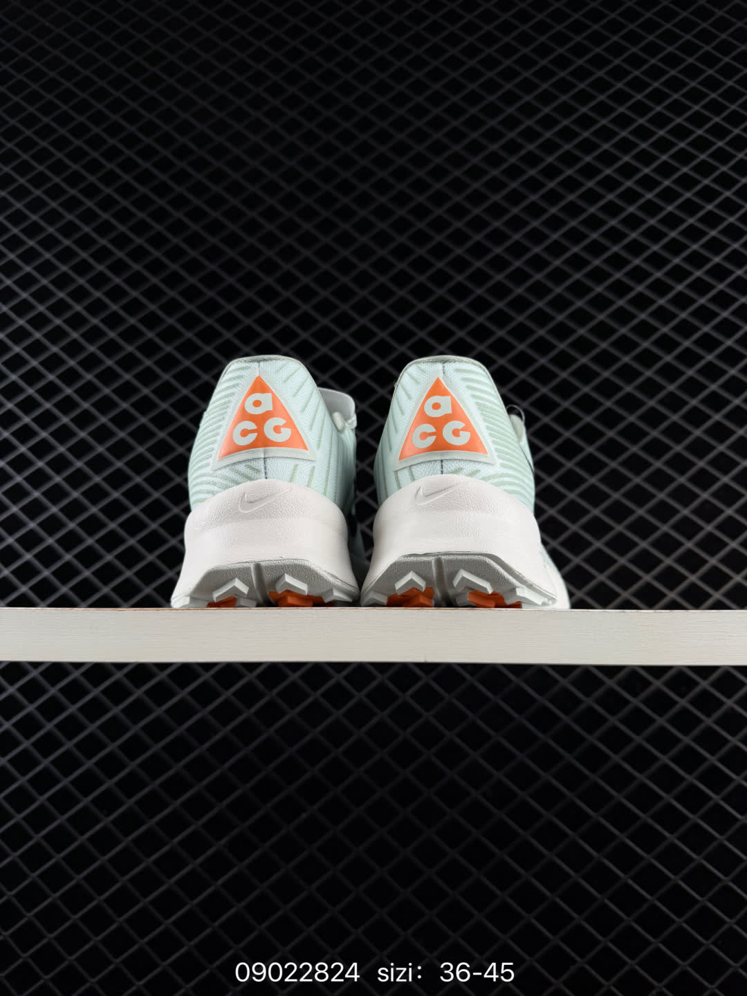 NIKE ACG Mountain Fly Low GORE-TEX