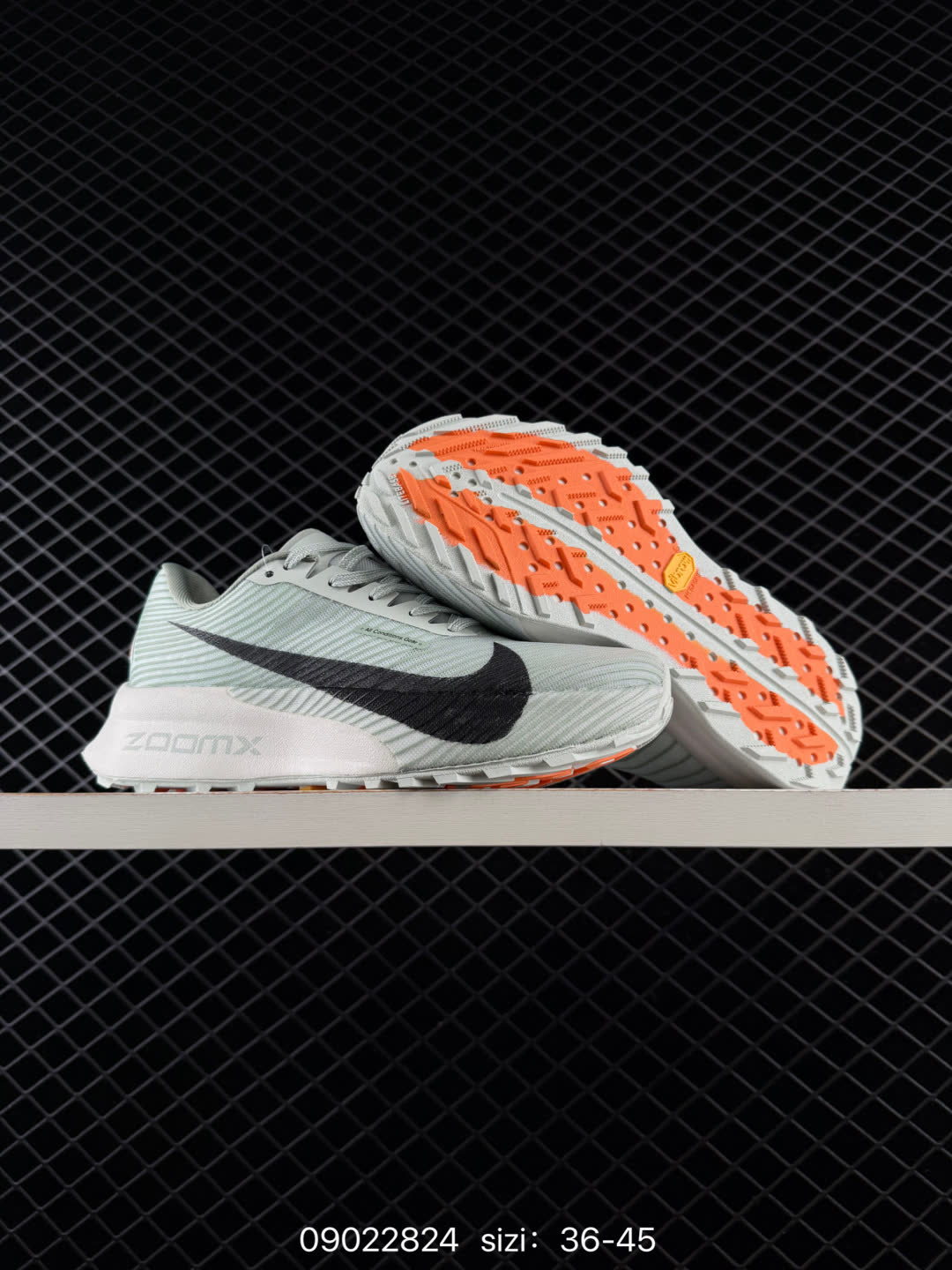 NIKE ACG Mountain Fly Low GORE-TEX