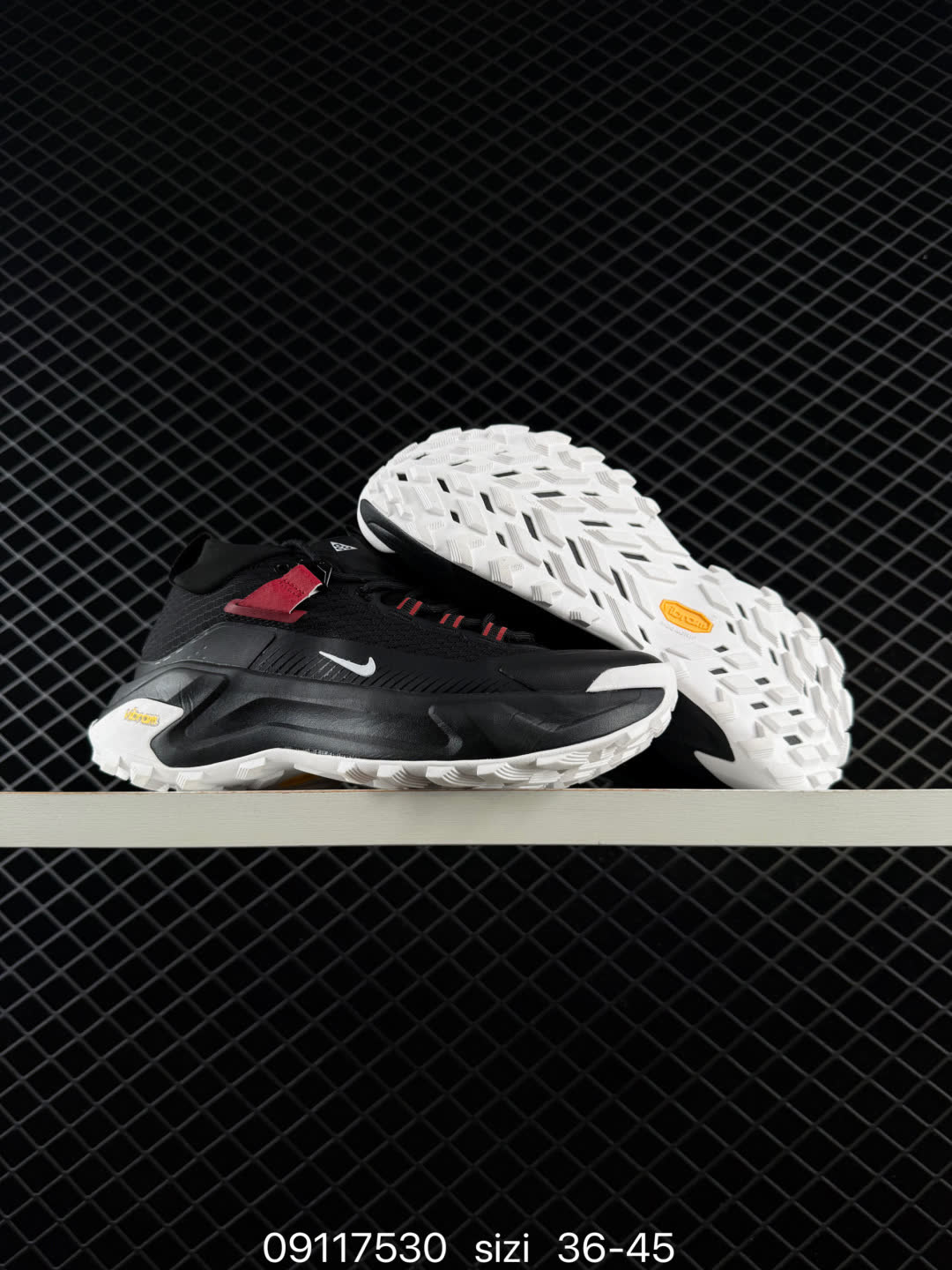 NIKE ACG MOUNTAIN FLY GTX SE-DH0623-008