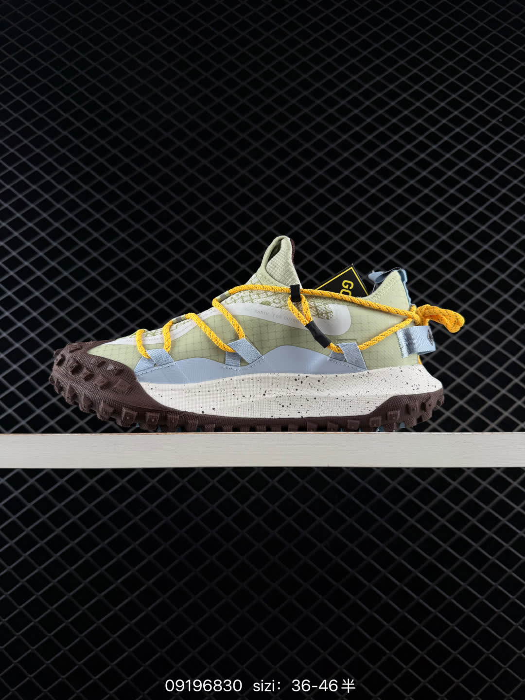Nike ACG Mountain Fly LOW GTX SE