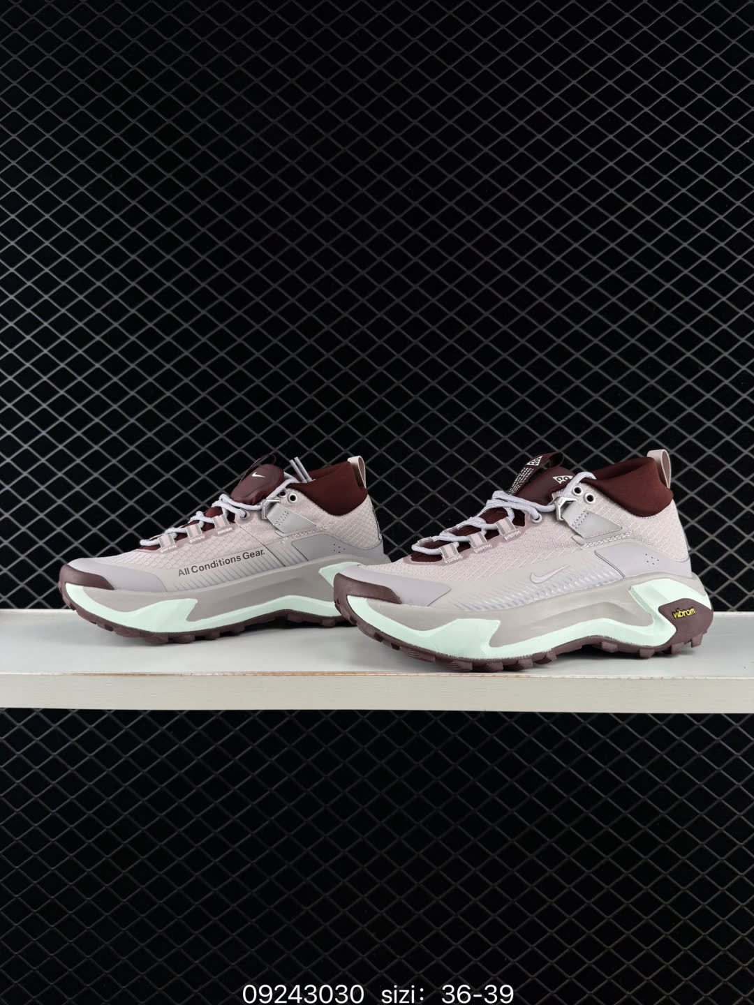 Nike ACG Mountain Fly Low GTX SE-DH0623