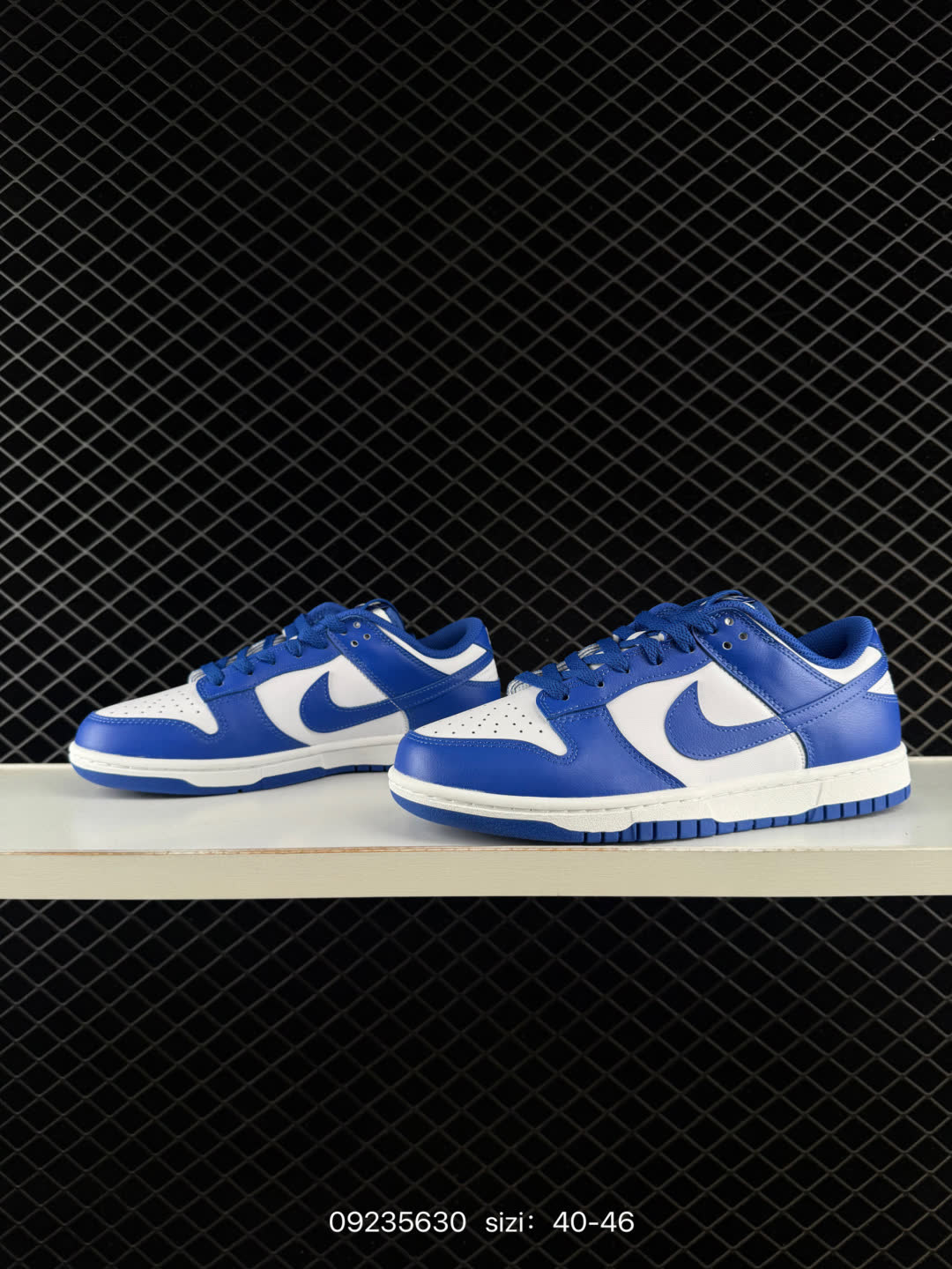 Nike Dunk Low Retro-HF5441-100