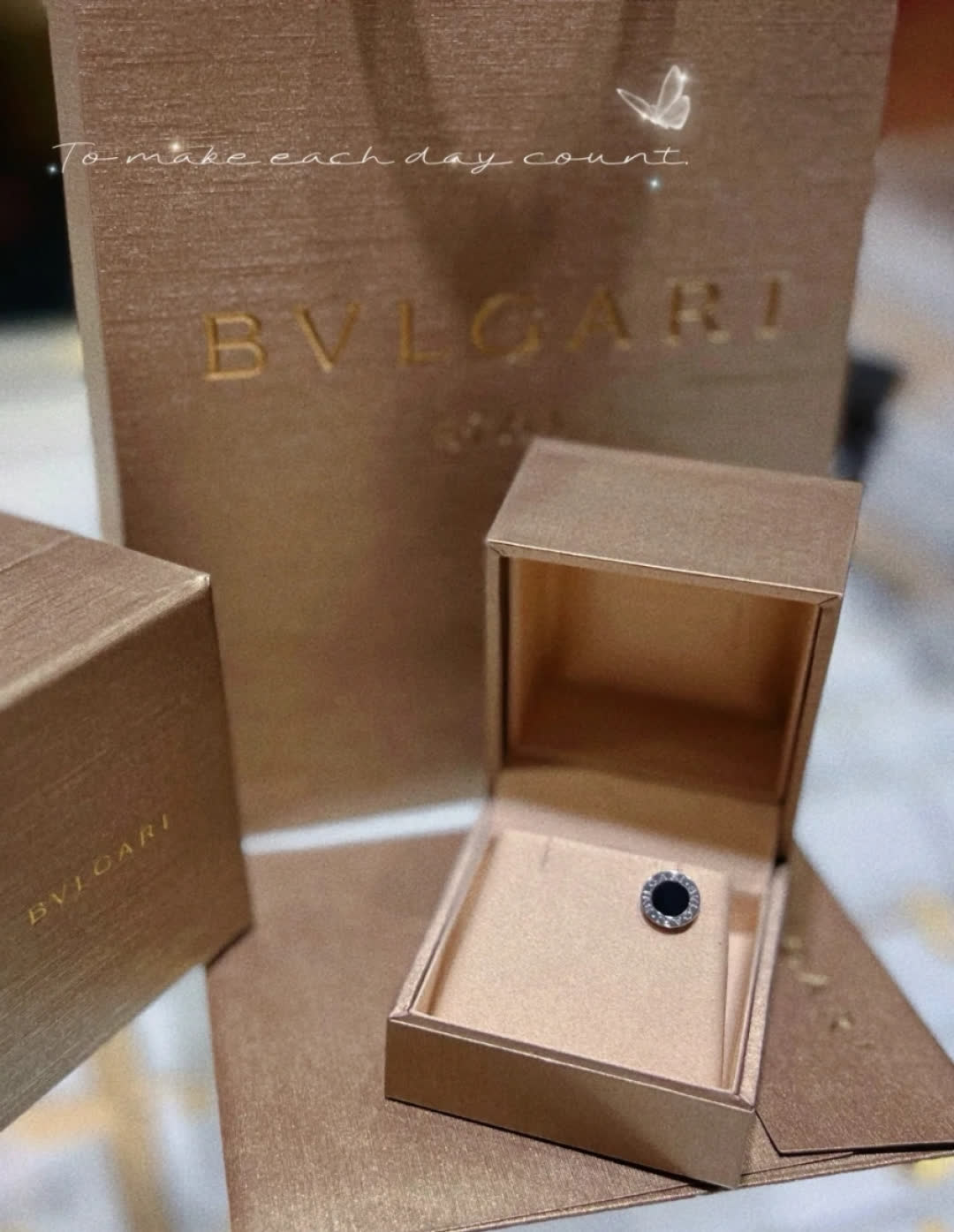 Bvlgari Earrings - Black and Silver Ring Design