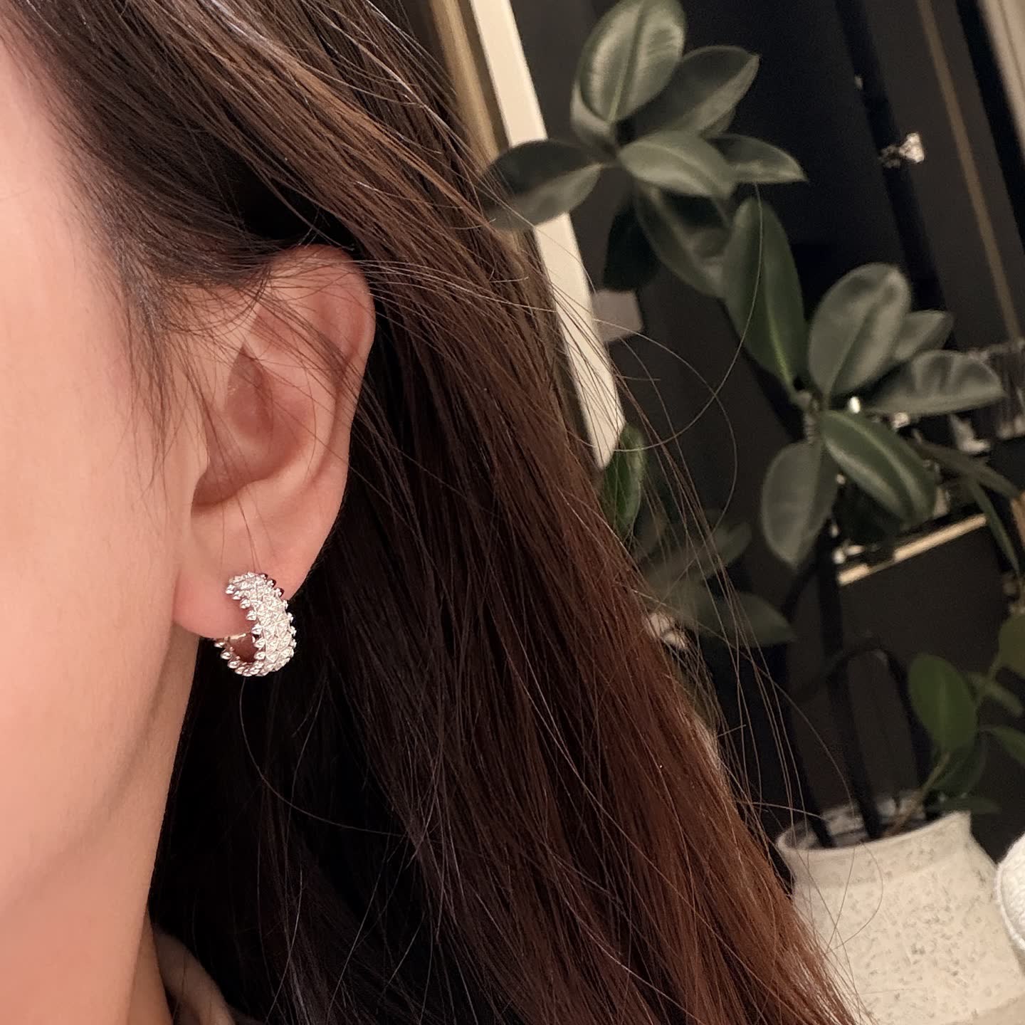 Cartier Luxury Diamond Hoop Earrings