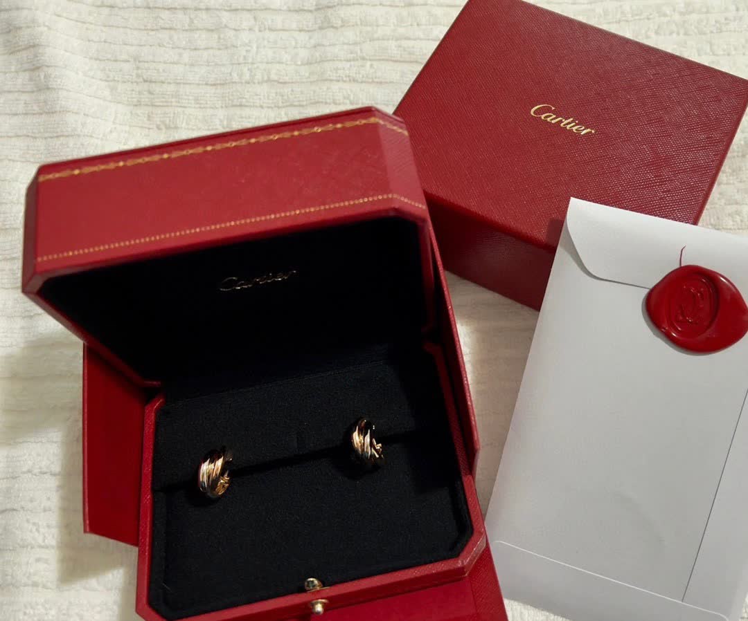 Tiffany & Co. Earrings