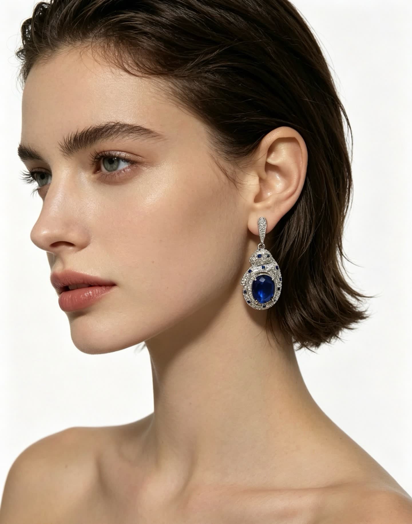 Cartier Elegant Blue Gemstone Earrings