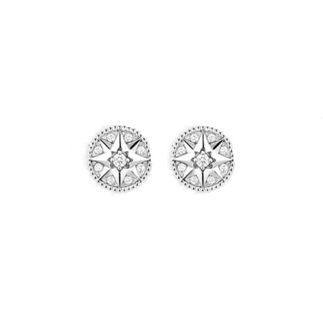 Dior Elegant Star Stud Earrings
