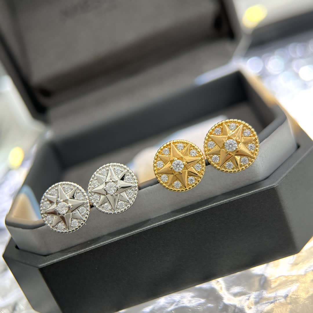 Dior Elegant Star Stud Earrings
