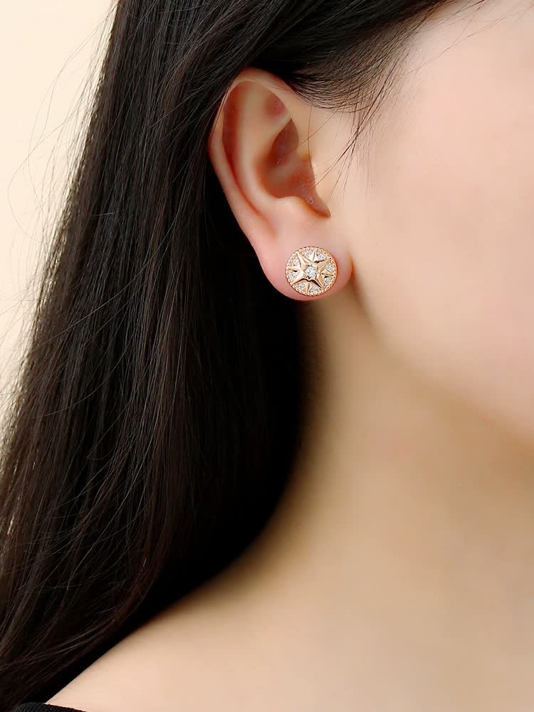 Dior Elegant Star Stud Earrings