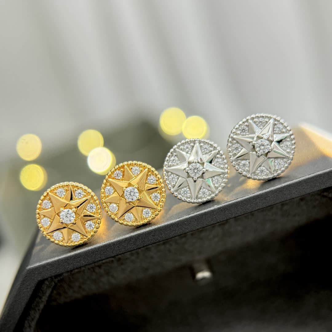 Dior Elegant Star Stud Earrings