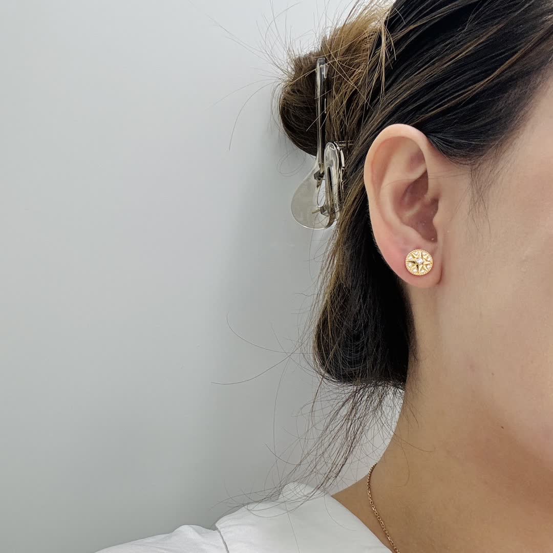 Dior Elegant Star Stud Earrings