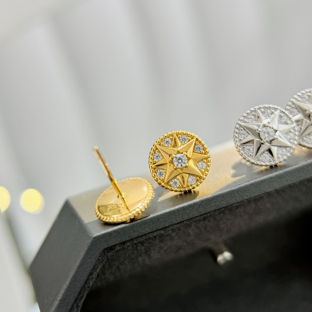 Dior Elegant Star Stud Earrings