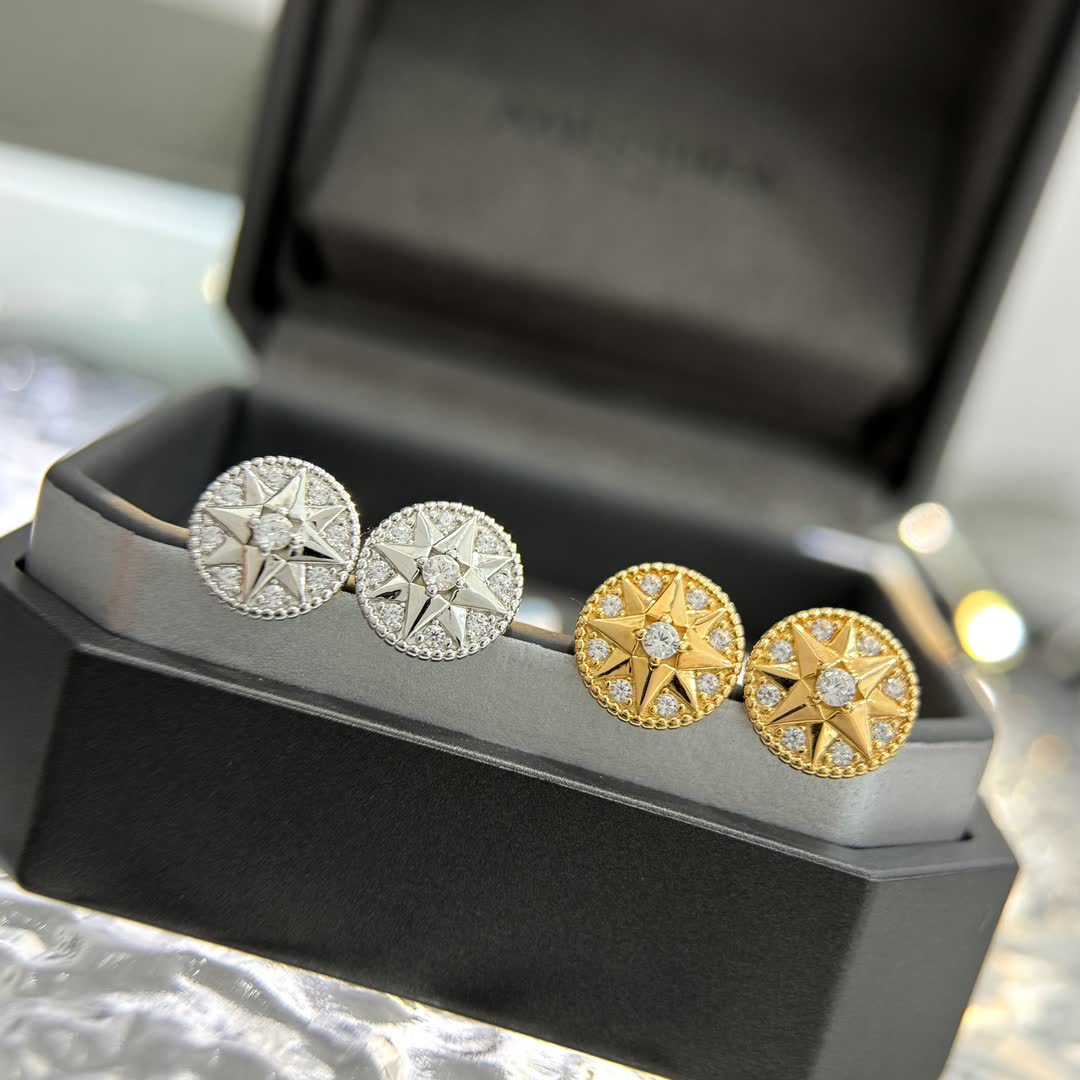 Dior Elegant Star Stud Earrings