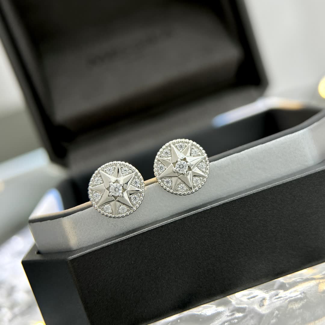 Dior Elegant Star Stud Earrings