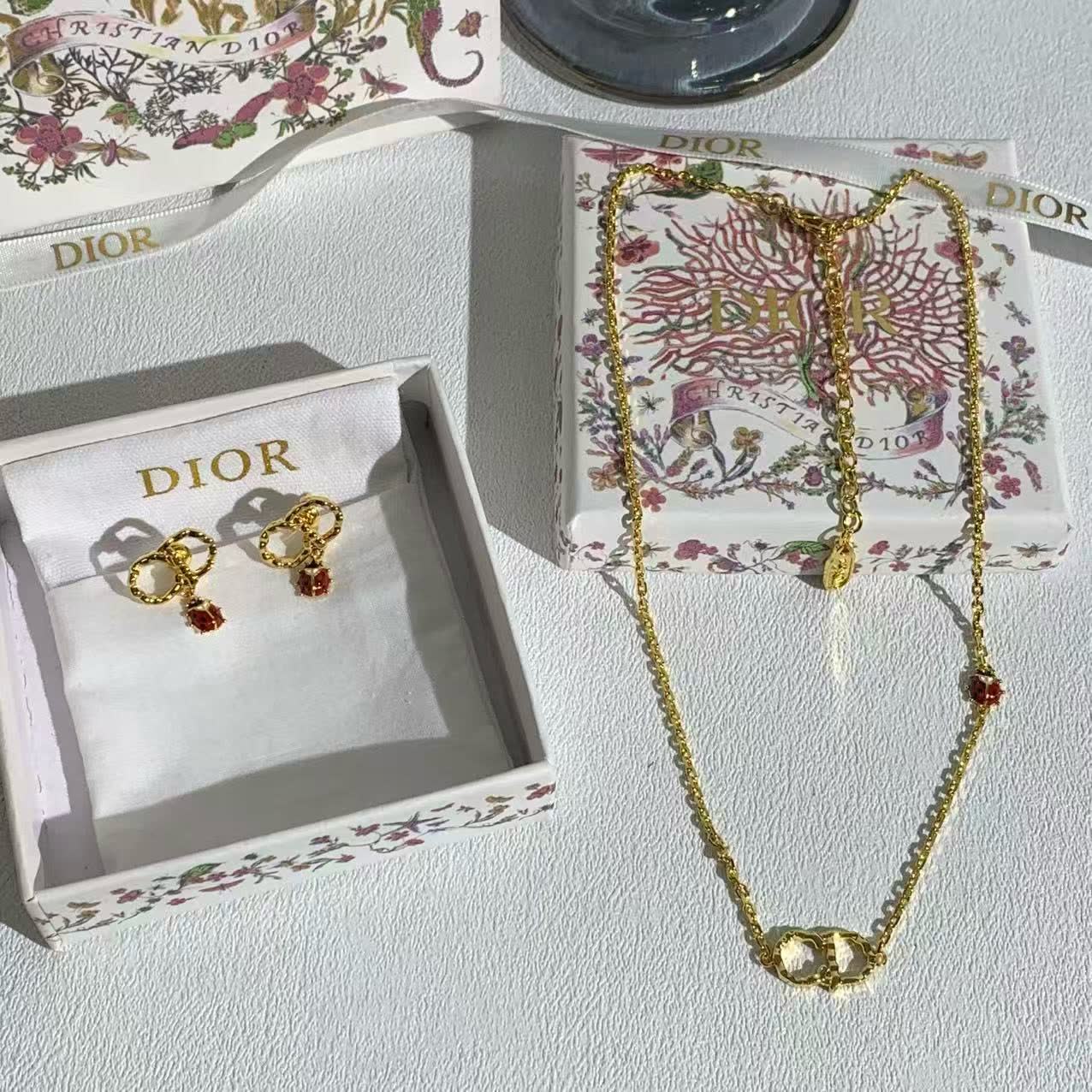 Dior Earrings