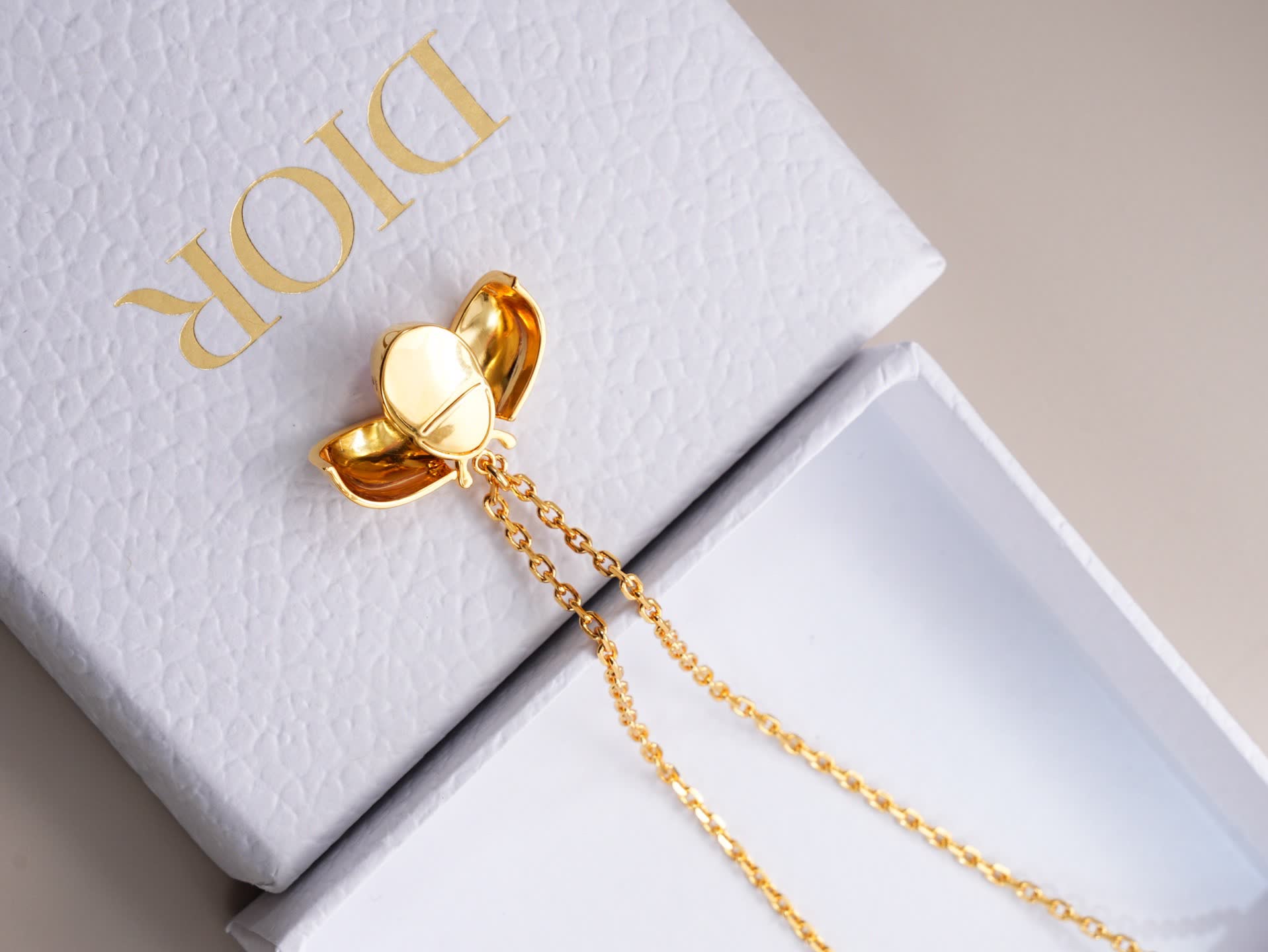 Dior Earrings