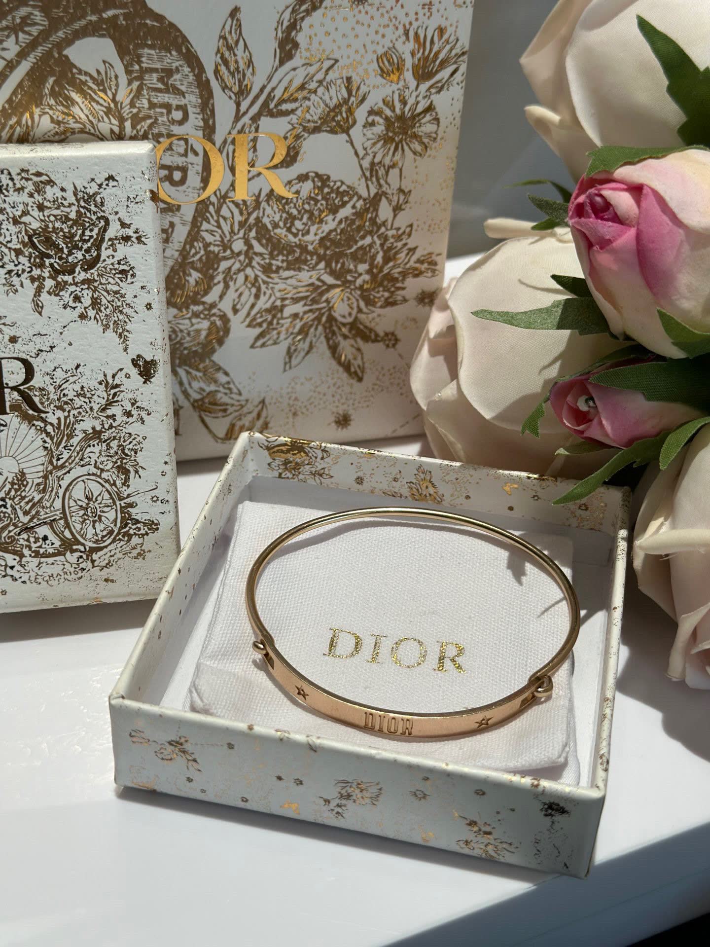 Dior Earrings