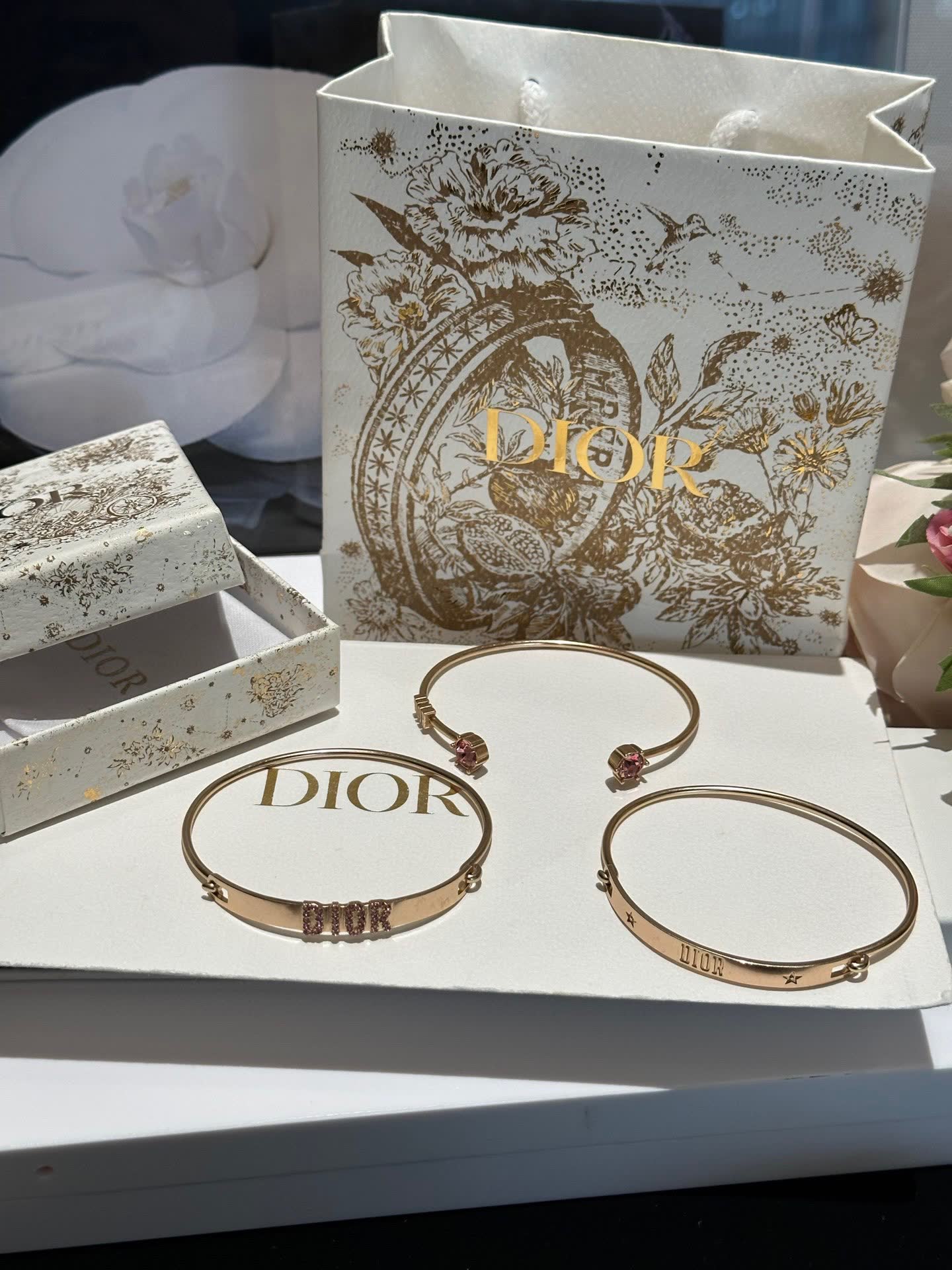 Dior Earrings
