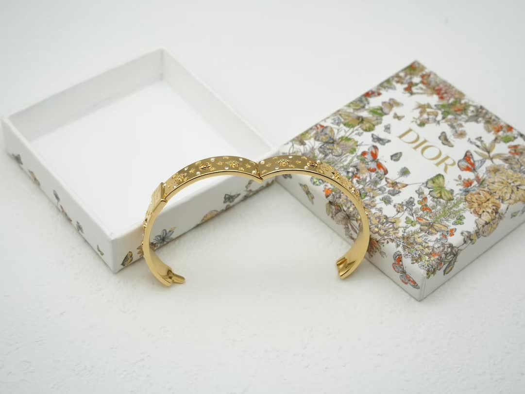 Dior Earrings