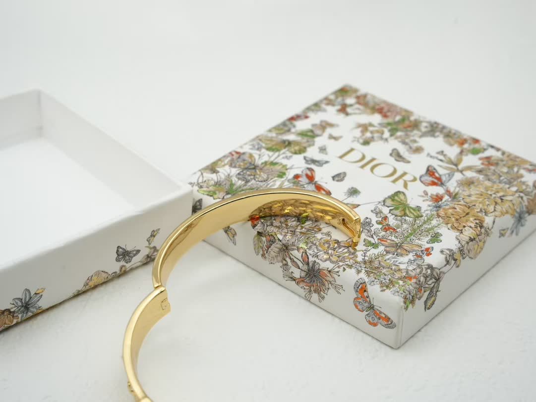 Dior Earrings