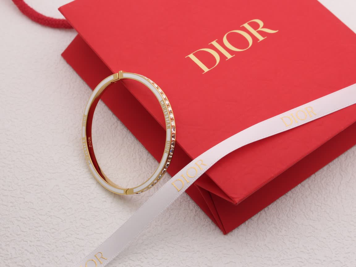 Dior Earrings Dior Earrings