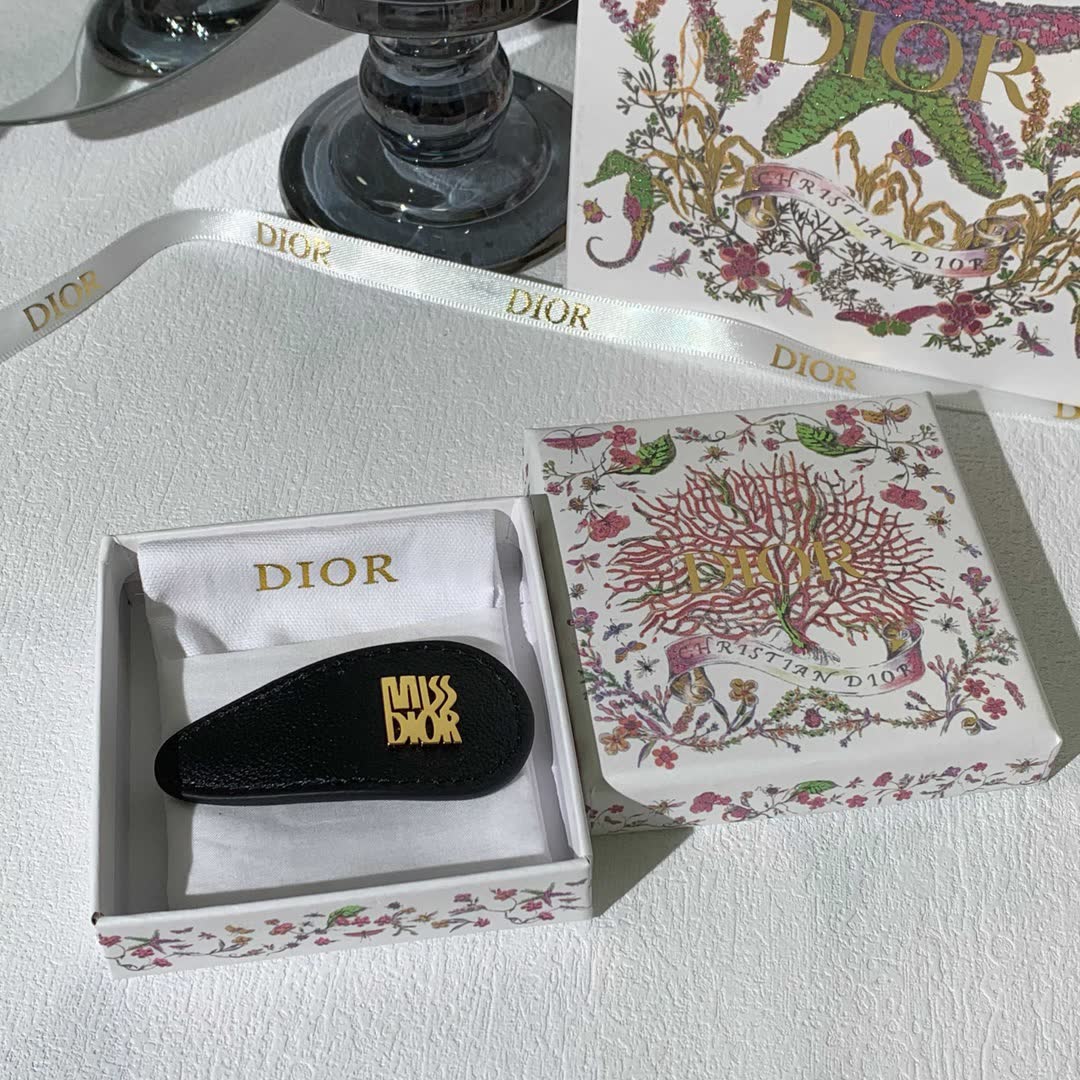 Dior Hair Clip