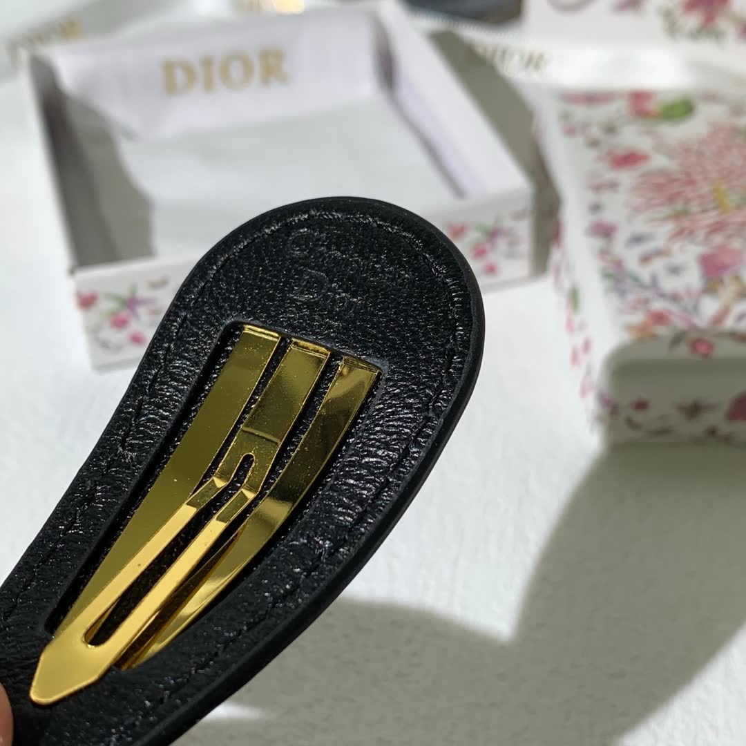 Dior Hair Clip