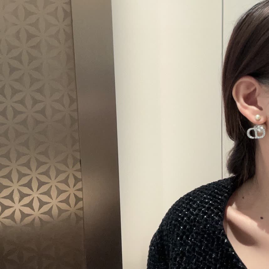 Dior Silver Crystal Hoop Earrings Dior Silver Crystal Hoop Earrings