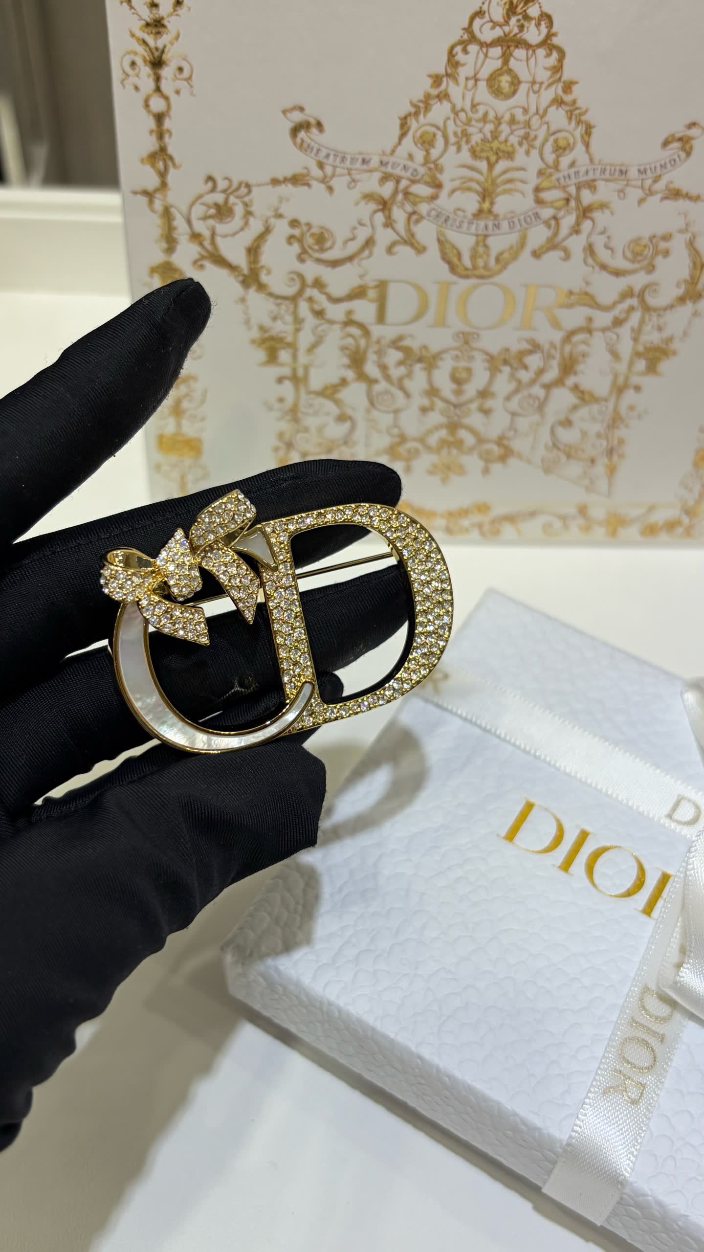 Dior Earrings