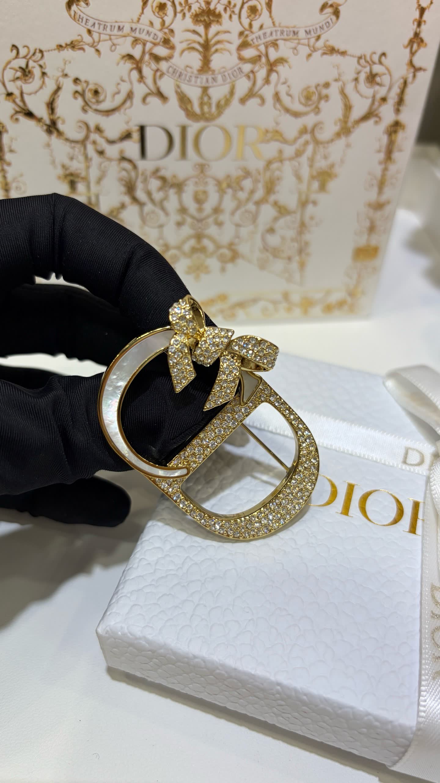 Dior Earrings