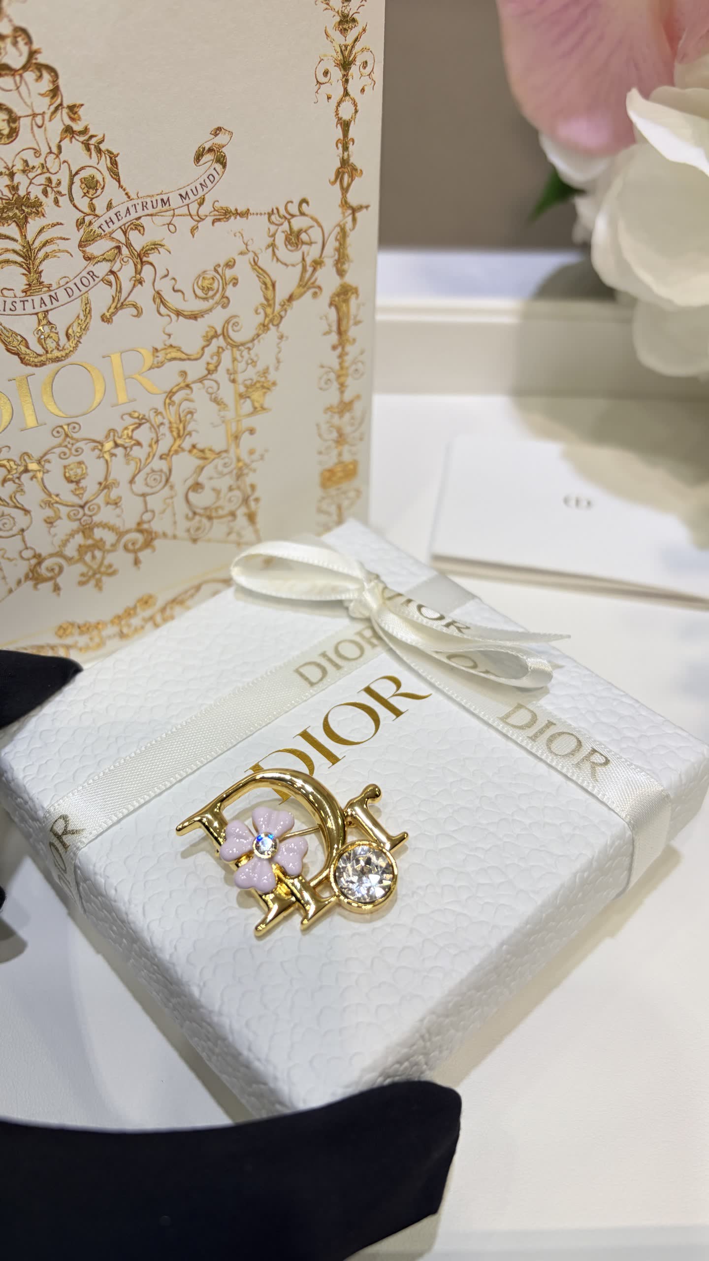 Dior Earrings