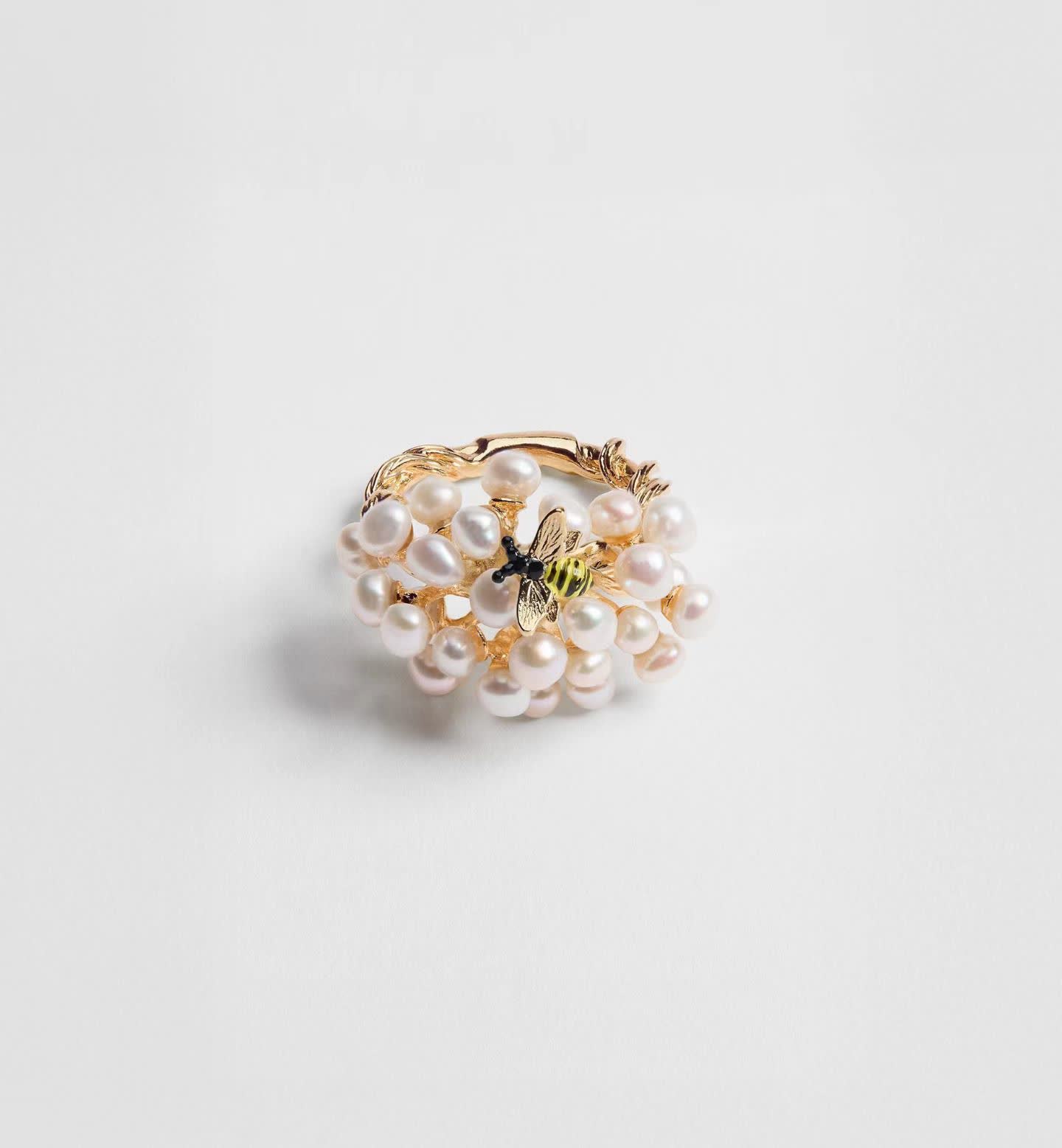 Dior Earrings