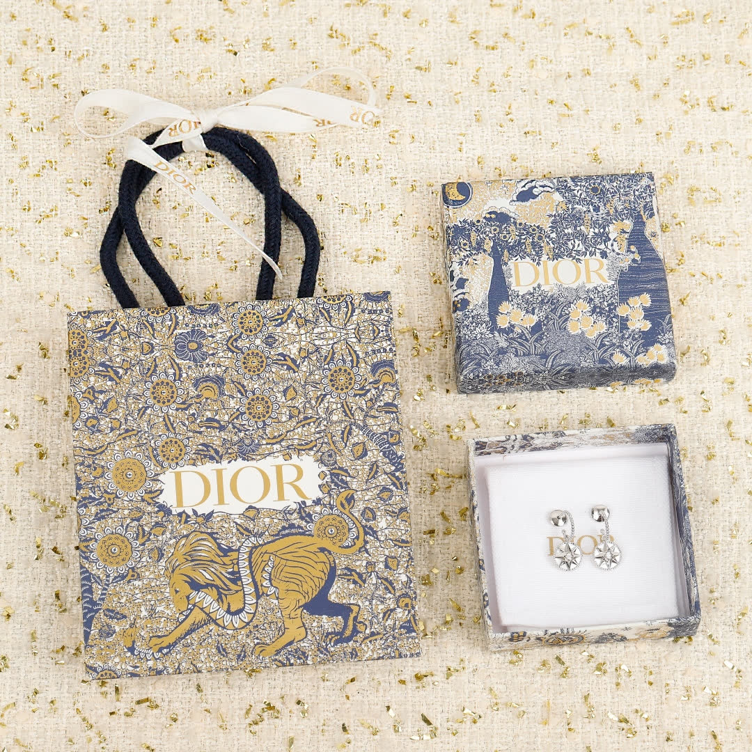 Dior Earrings Dior Earrings