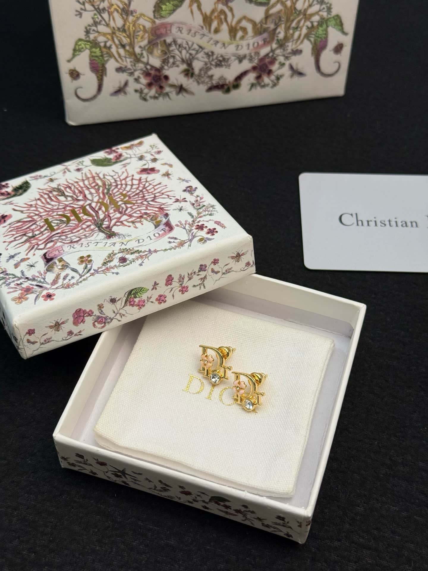Dior Earrings