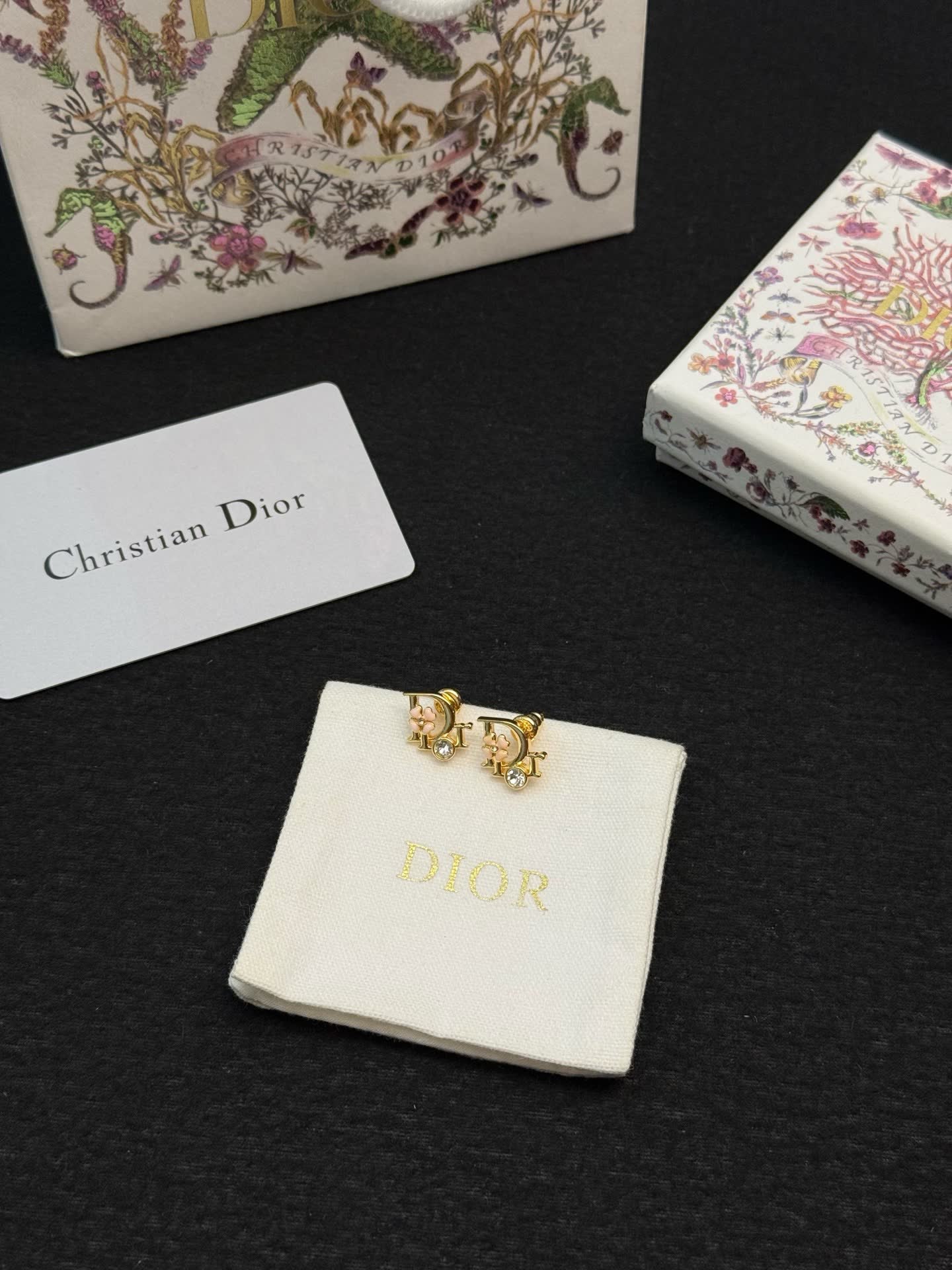 Dior Earrings