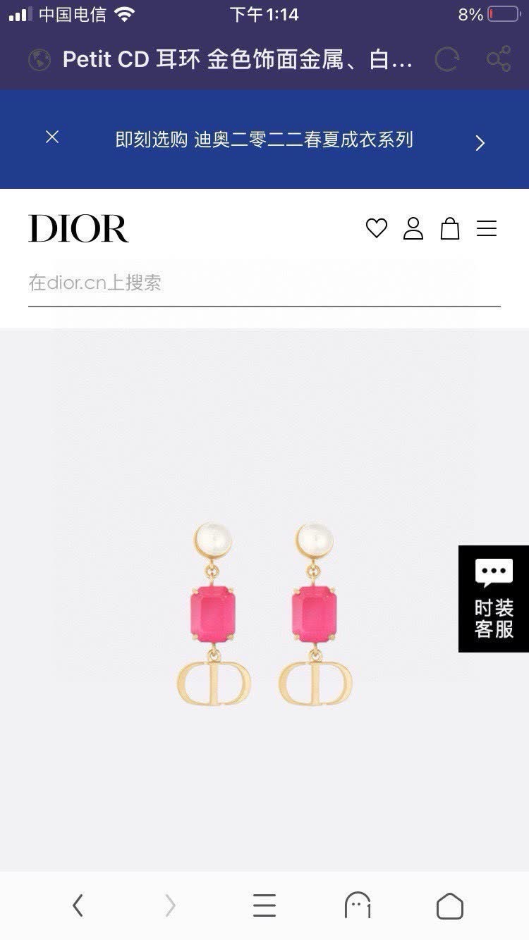 Dior CD Earrings Dior CD Earrings