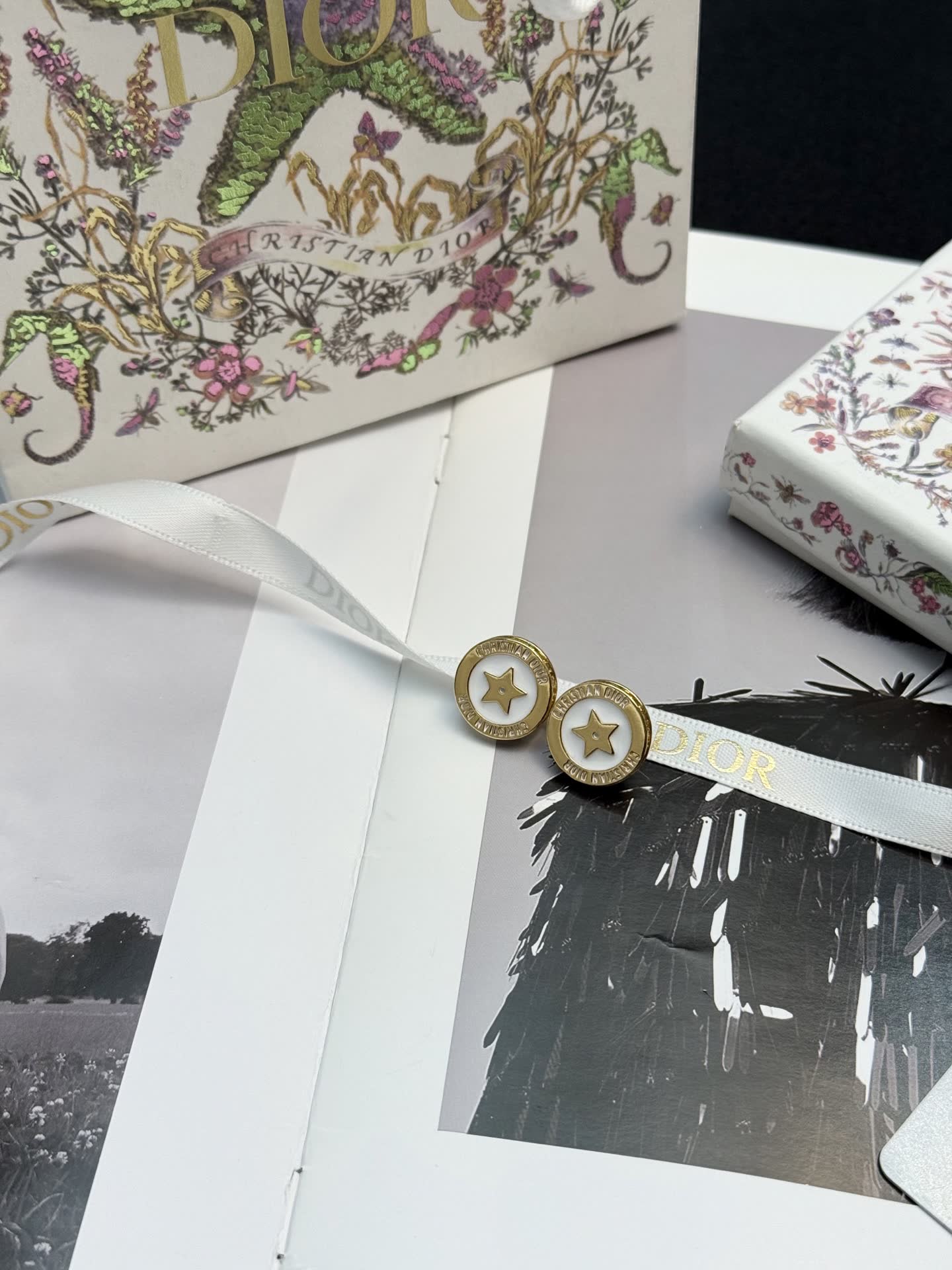 Christian Dior Star Stud Earrings