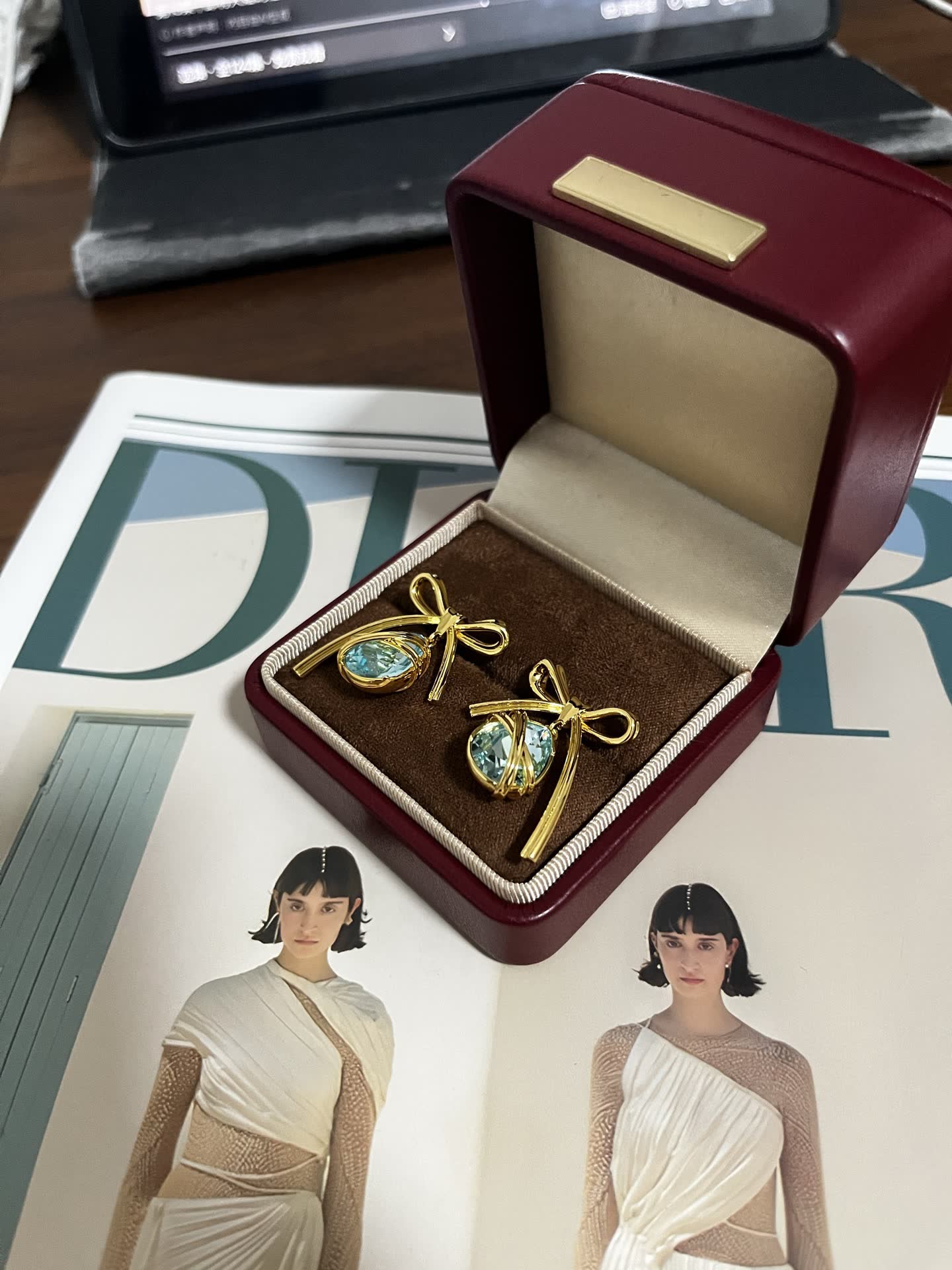 Dior Captured Drop Earrings