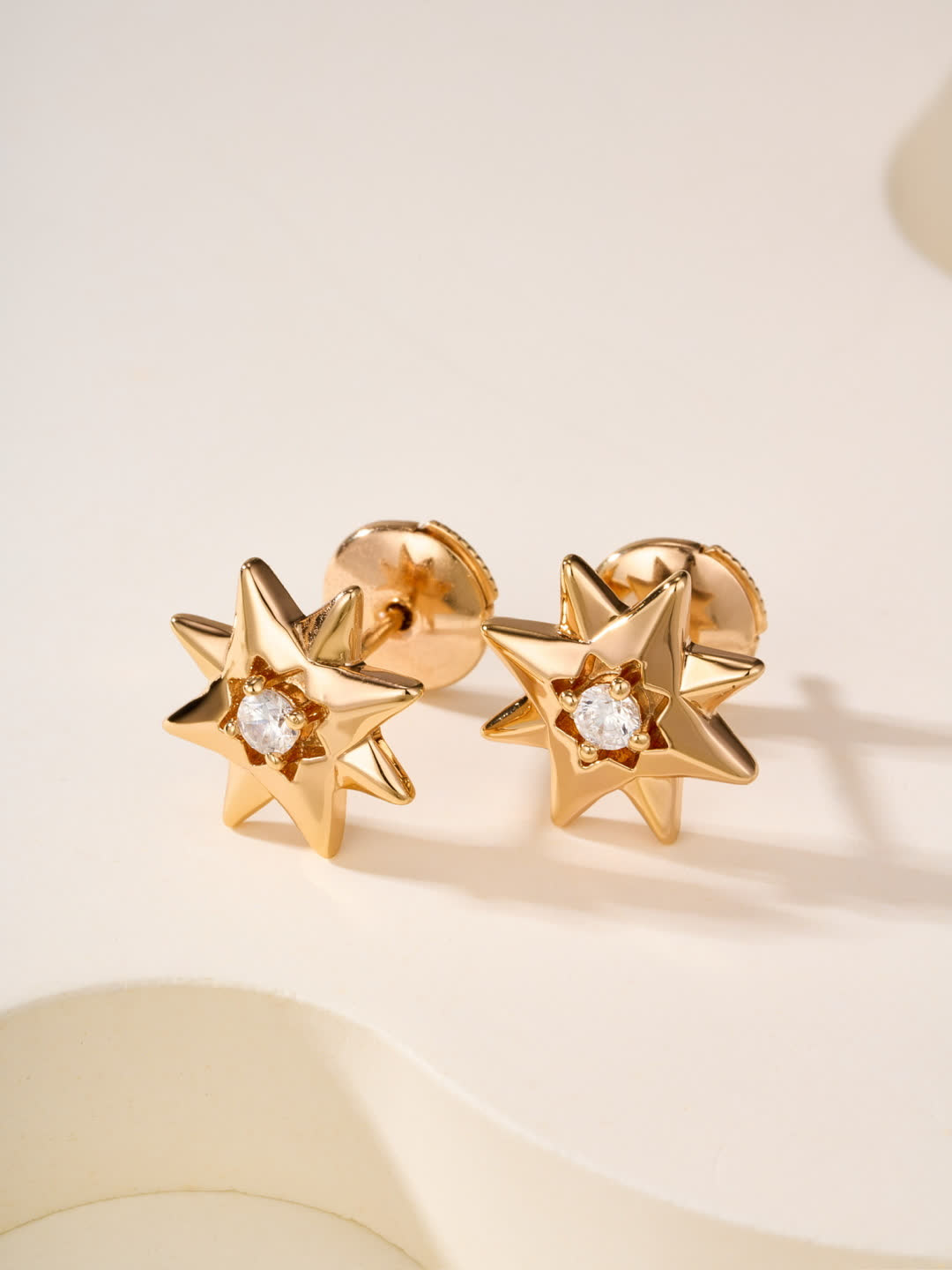 Dior Star Stud Earrings