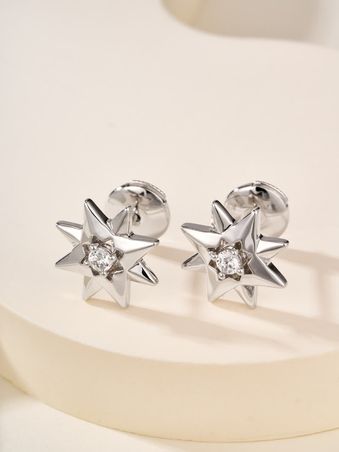 Dior Star Stud Earrings