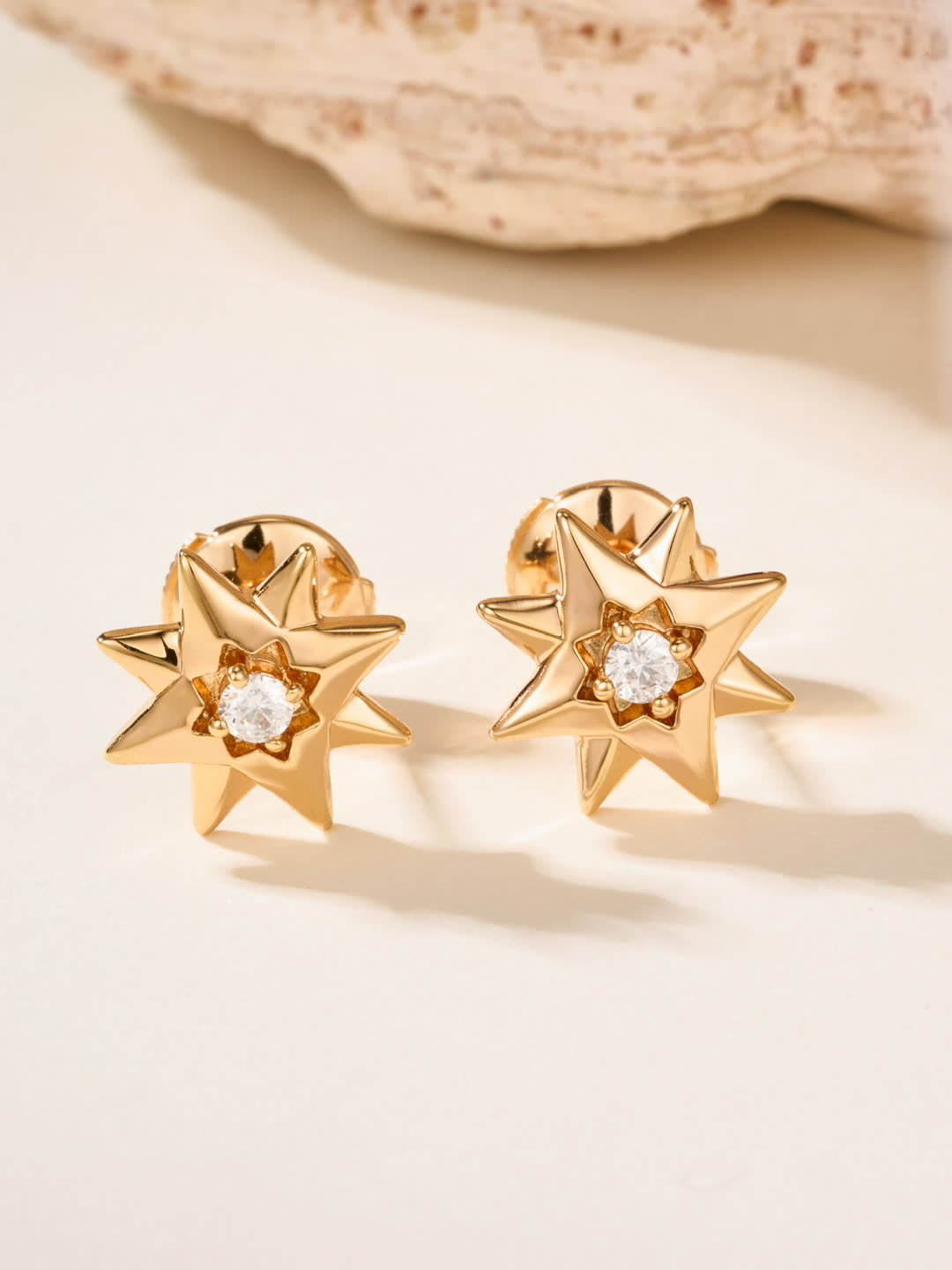 Dior Star Stud Earrings