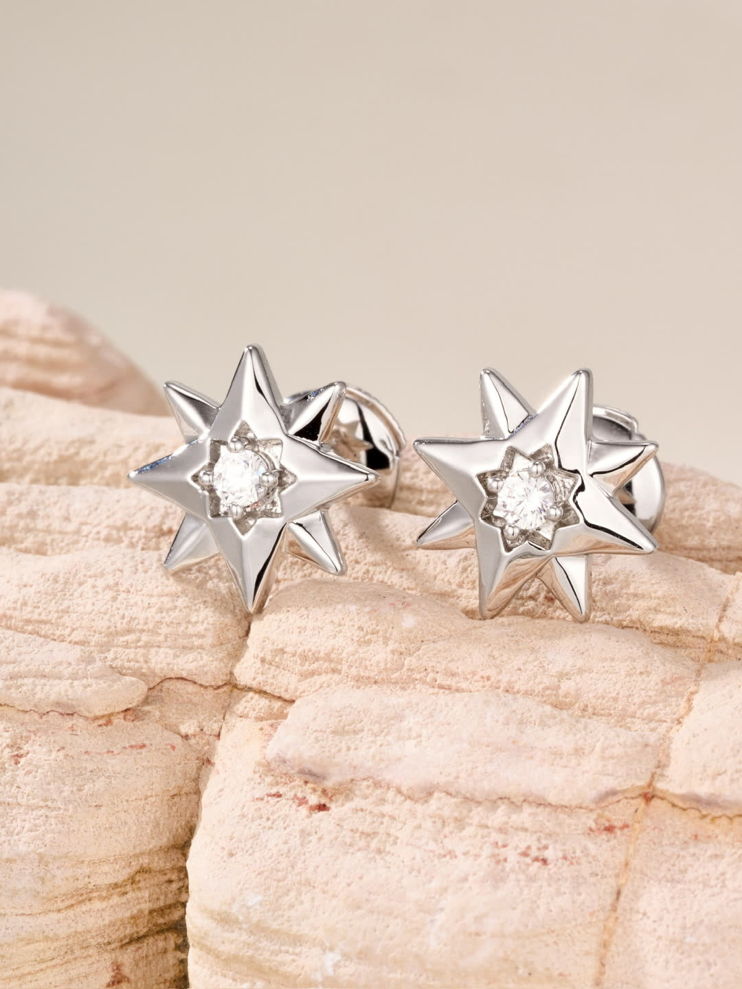 Dior Star Stud Earrings